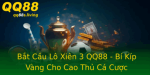 Bat Cau Lo Xien 3 Qq88 Bi Kip Vang Cho Cao Thu Ca Cuoc