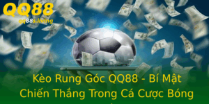 Keo Rung Goc Qq88 Bi Mat Chien Thang Trong Ca Cuoc Bong A