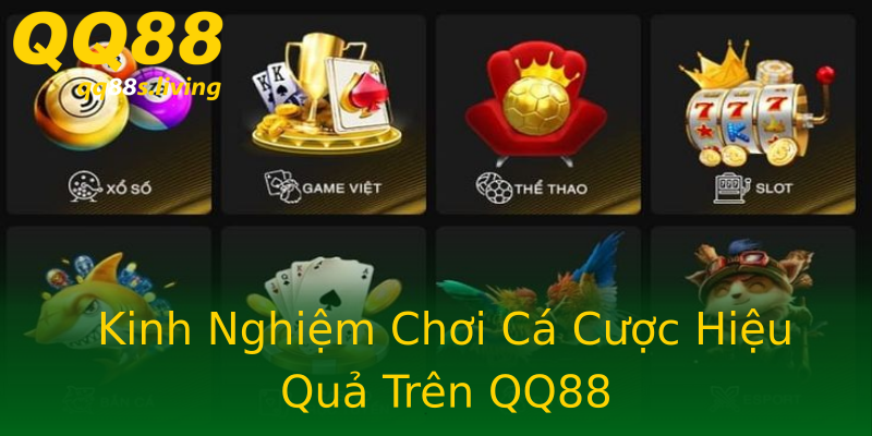 Kinh Nghiệm Chơi Cá Cược Hiệu Quả Trên QQ88 Kinh Nghiệm Chơi Cá Cược Hiệu Quả Trên QQ88